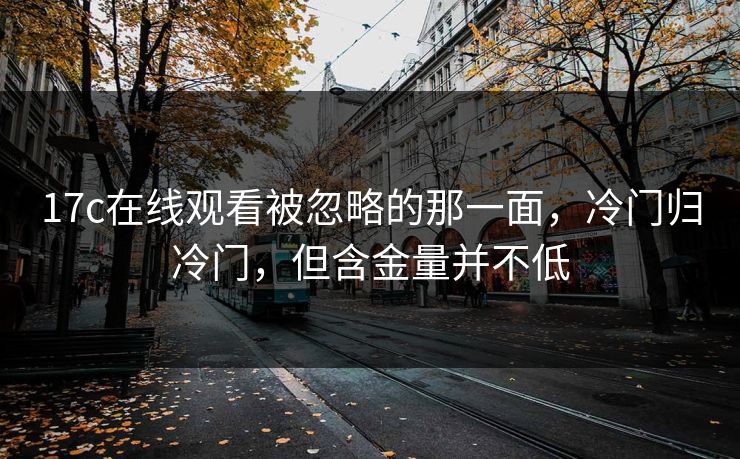 17c在线观看被忽略的那一面，冷门归冷门，但含金量并不低
