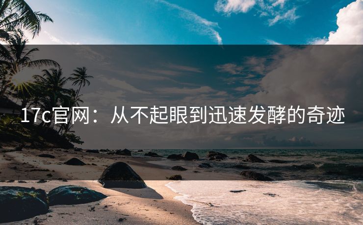 17c官网：从不起眼到迅速发酵的奇迹